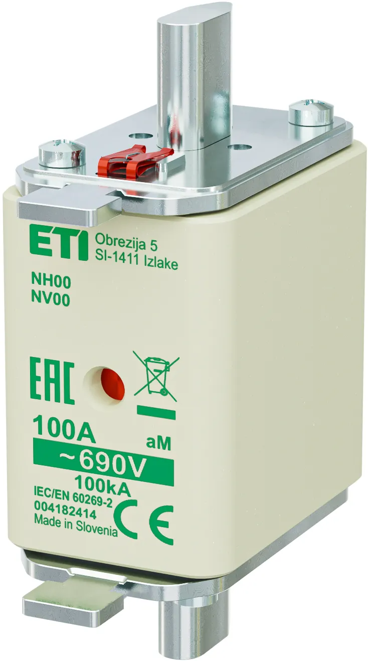Fuse link NH00 aM 100A/690V 004182414